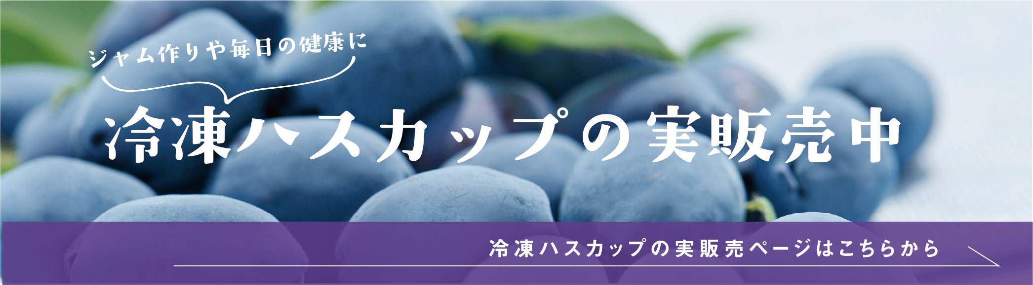 冷凍ハスカップの実販売中