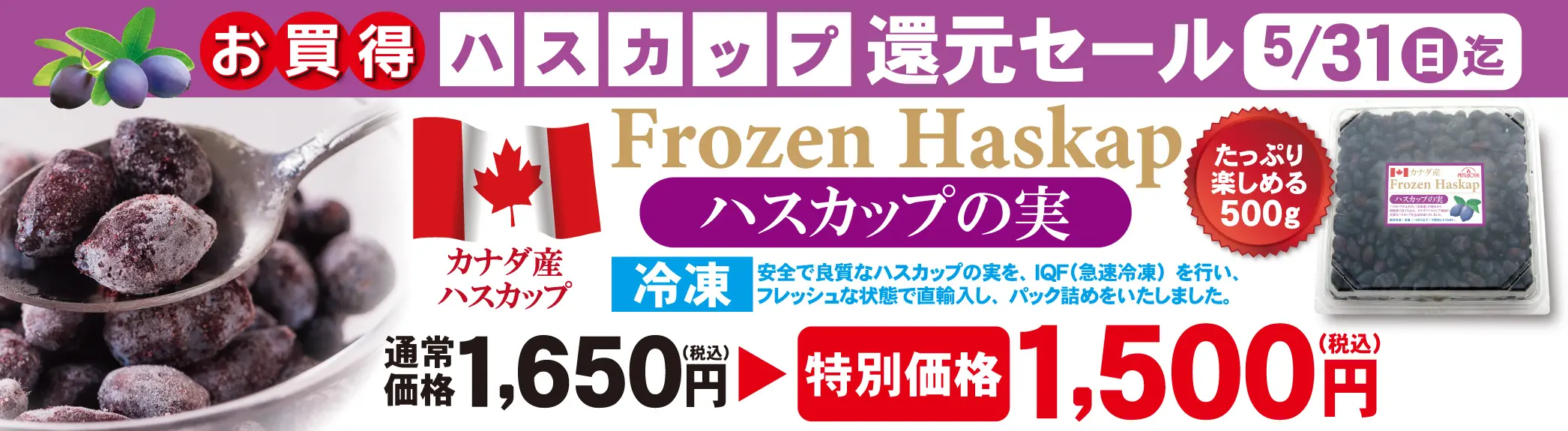 お買い得冷凍ハスカップの実5/31まで